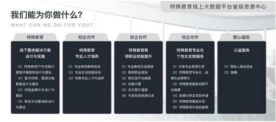 省級特殊教育資源中心綜合管理及服務(wù)平臺-