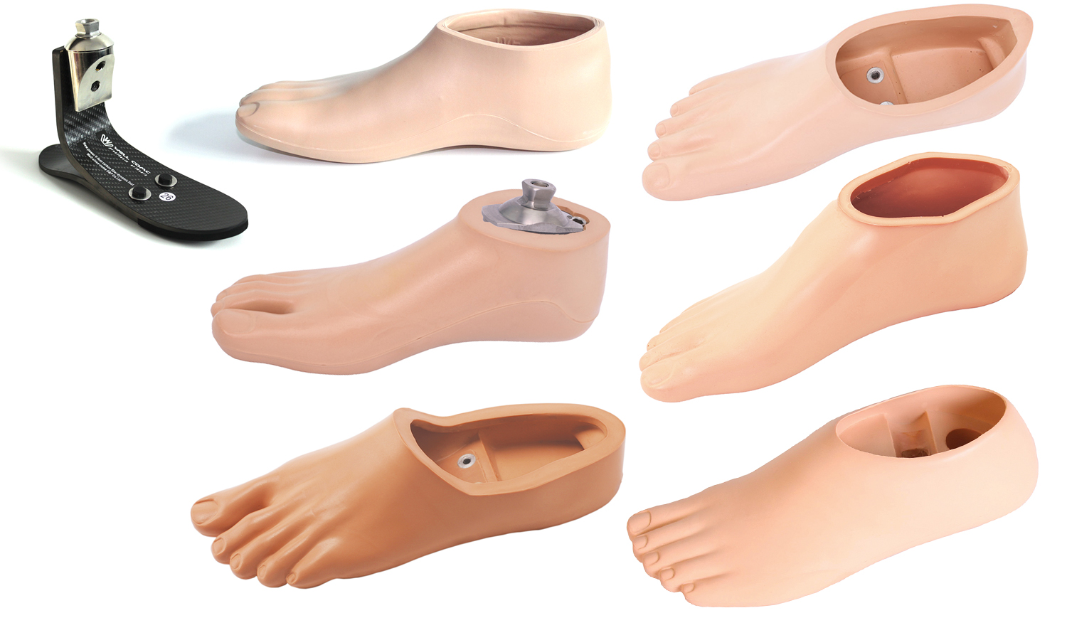 假肢腳、腳皮