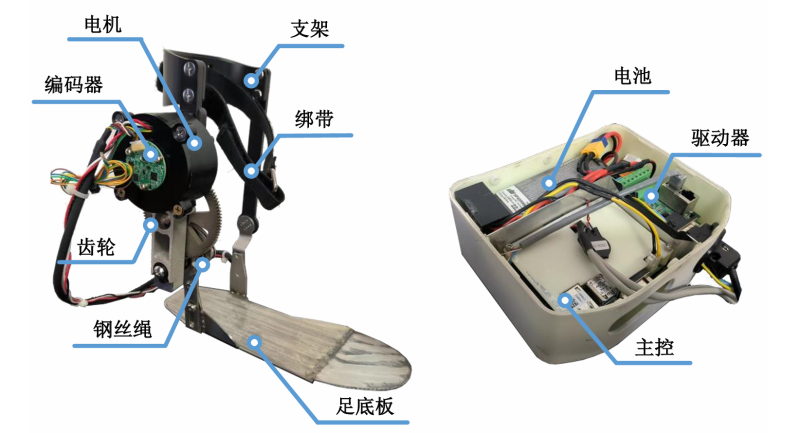 足下垂康復(fù)外骨骼機(jī)器人-